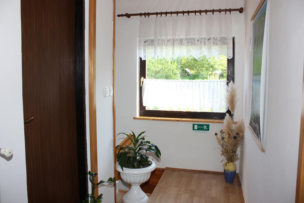 Apartment Jelena Селиште-Дрежничко Номер фото