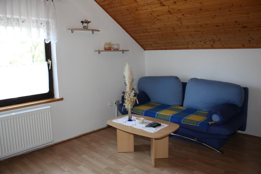 Apartment Jelena Селиште-Дрежничко Номер фото
