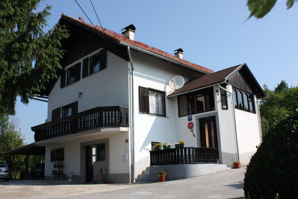 Apartment Jelena Селиште-Дрежничко Номер фото