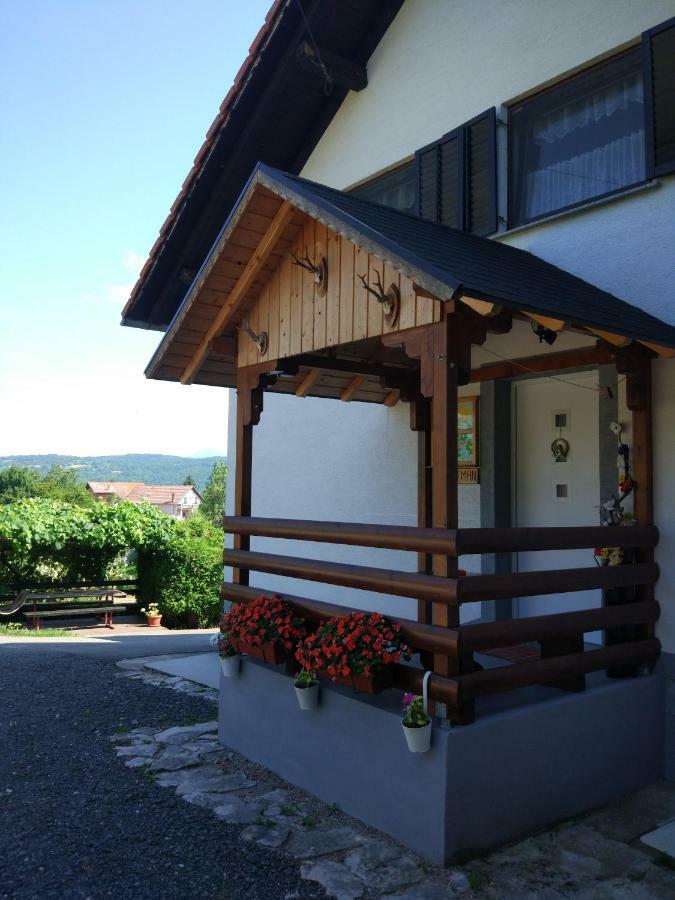 Apartment Jelena Селиште-Дрежничко Экстерьер фото