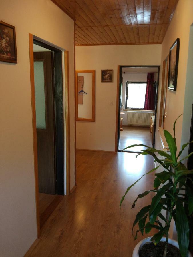 Apartment Jelena Селиште-Дрежничко Экстерьер фото