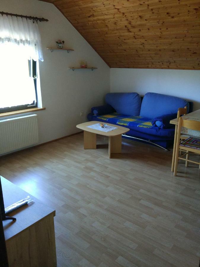 Apartment Jelena Селиште-Дрежничко Экстерьер фото